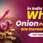 Onion price in india