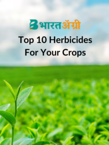 top herbicides