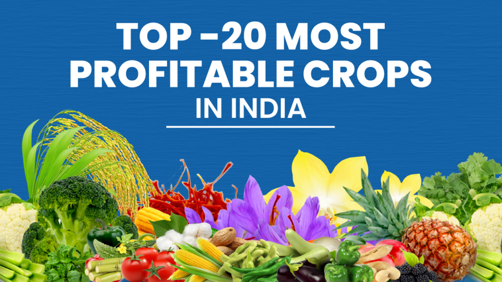 top profitable crops in india