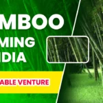 bamboo farming in india